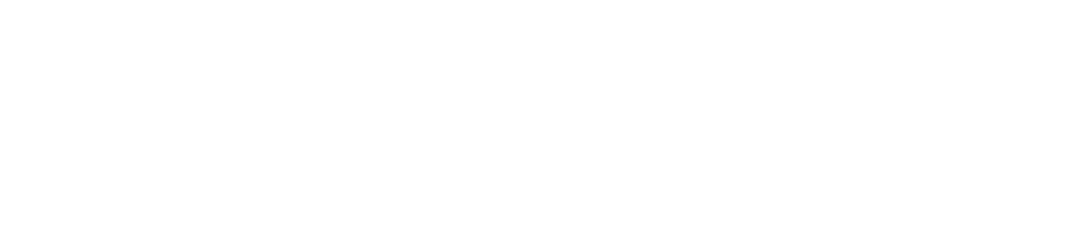 Palika Drishti