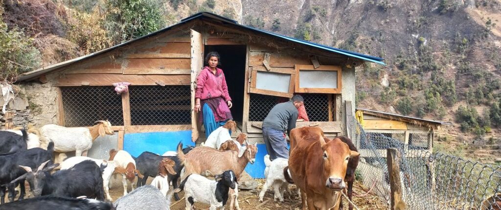 भारतबाट फर्किएर बाख्रा पालन, वार्षिक छ लाख&hellip;