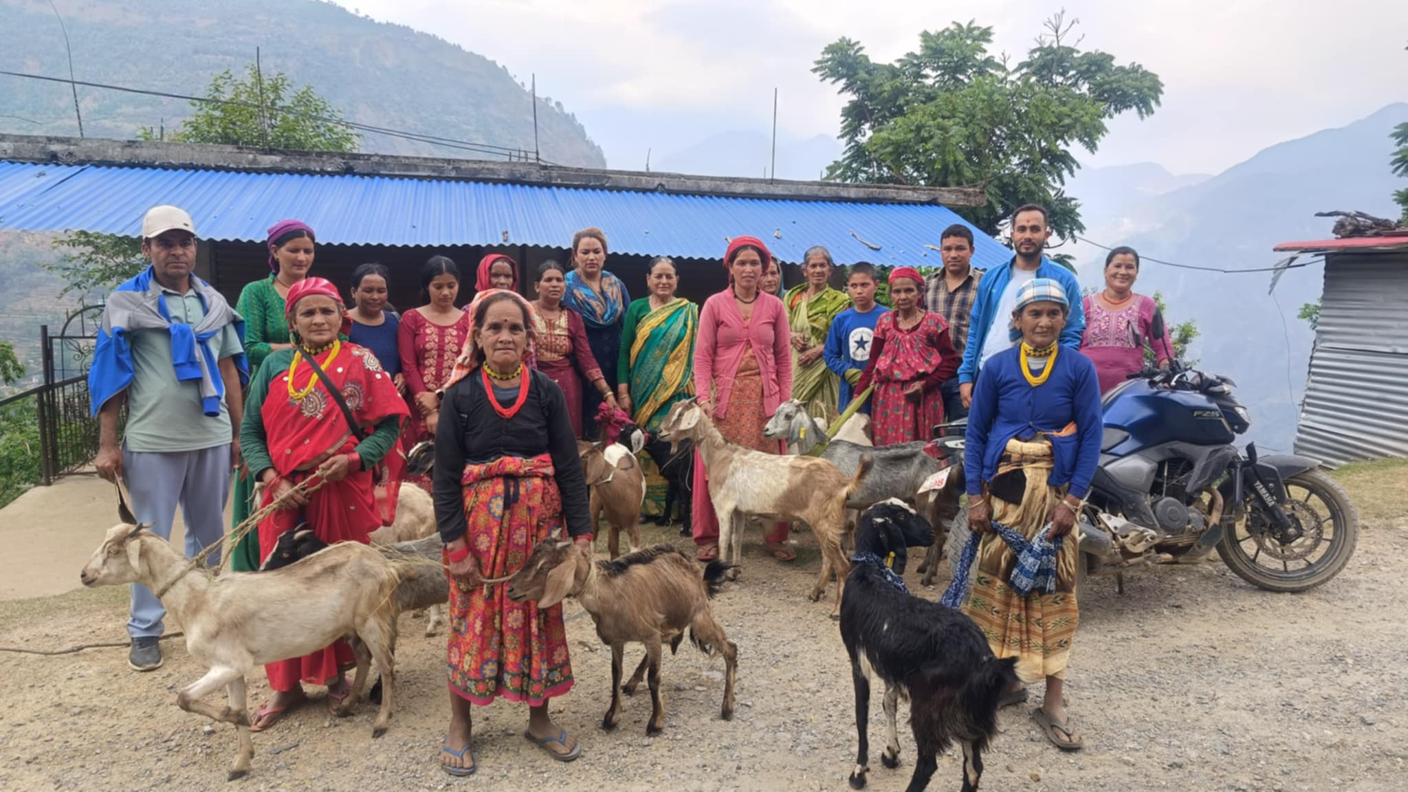 बझाङको बित्थडचिरमा एकल महिलाहरुलाई बाख्रा वितरण