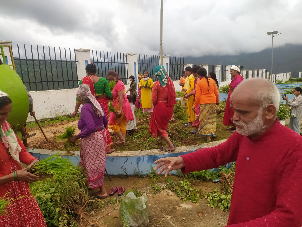 बर्षौदेखीअलपत्र पाटन बसपार्कमा स्थानीयले गरे धान रोपाइँ