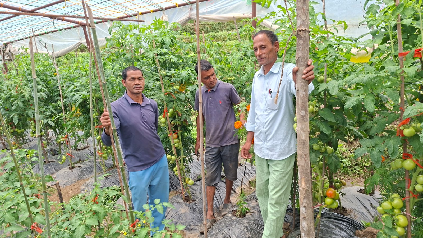 विद्यालयको आफ्नै करेसाबारीः जहा फल्छन् अर्गानीक तरकारी र फलफूल