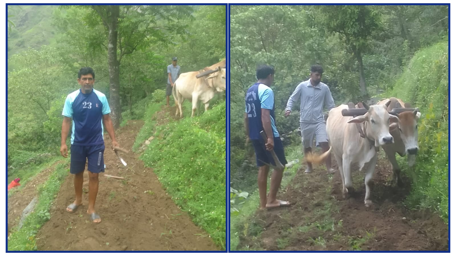 बैतडीमा विप्लव नेकपाको सामूहिक कोदो खेती सुरु