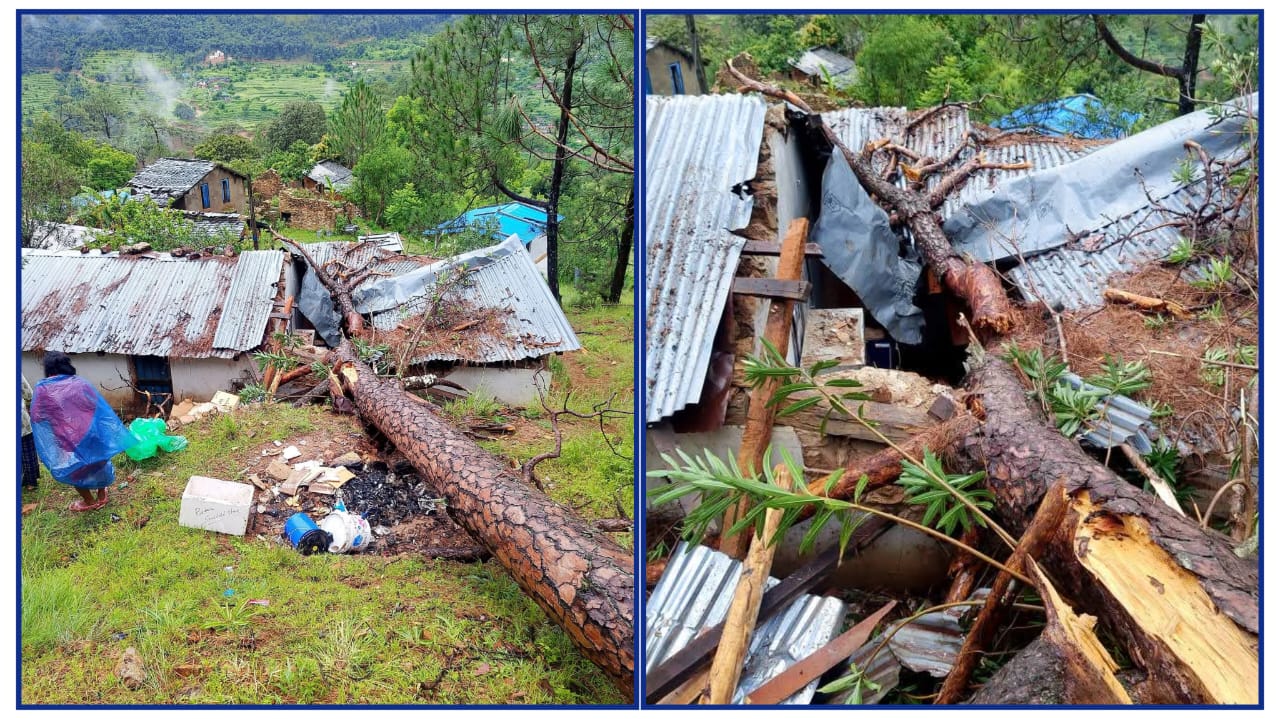 बैतडीको सकार स्वास्थ्य चौकीको भवनमाथि रुख ढल्यो