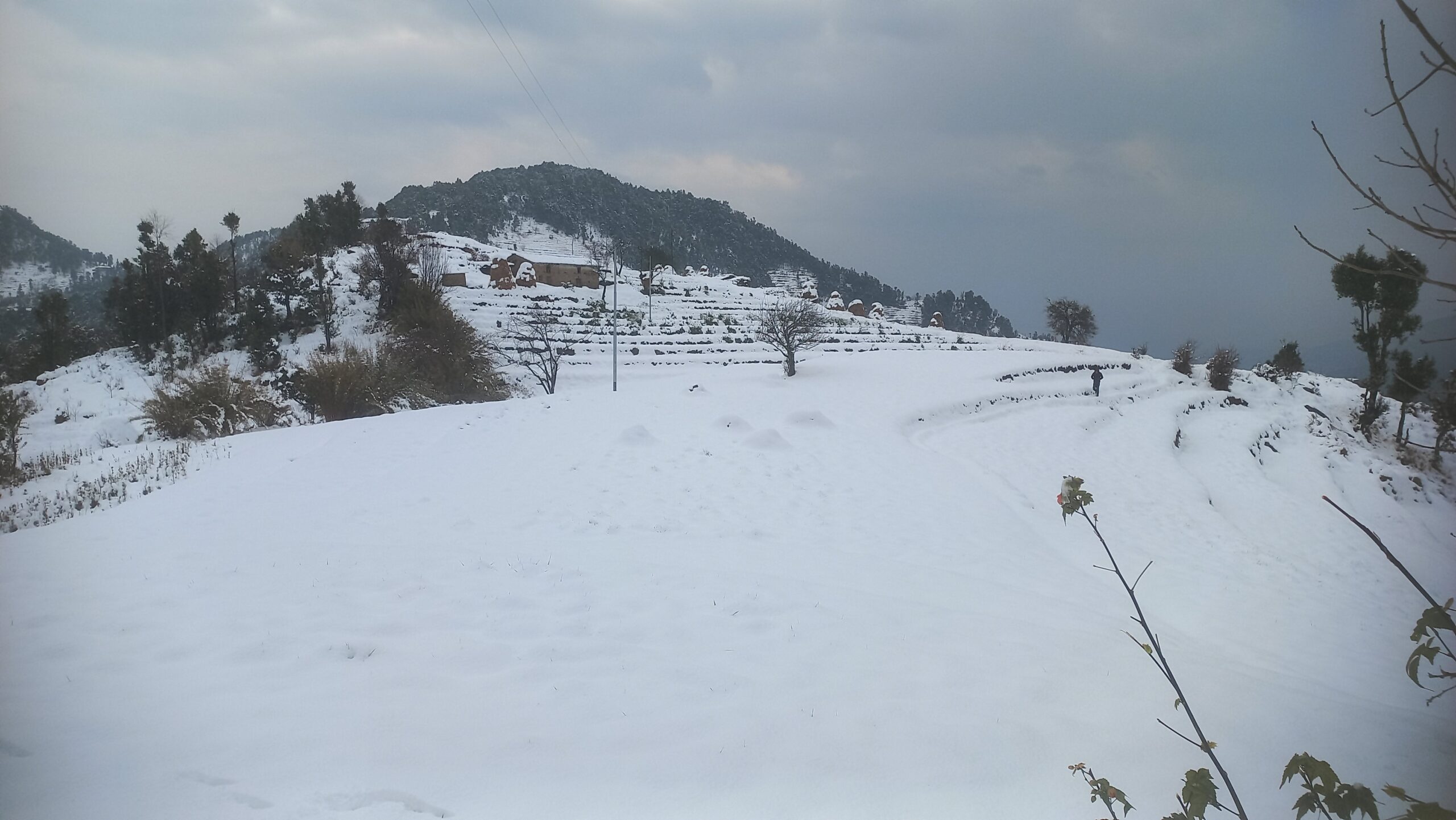 बैतडीमा वर्षकै पहिलो हिमपात र हिउँदे वर्षा, किसानलाई राहत