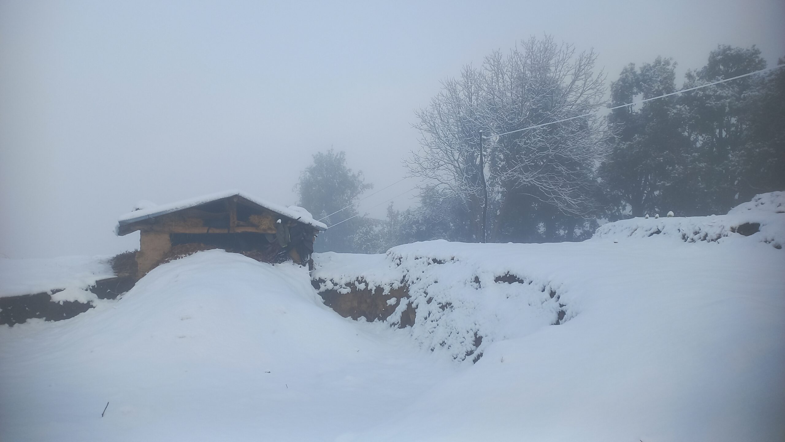 बैतडीमा दोस्रोपटक हिमपात