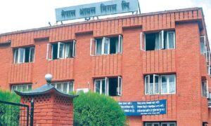 पेट्रोलियम पदार्थको मूल्यवृद्धि, डिजेल र मट्टीतेलमा प्रतिलिटर ३० रुपैयाँ बढ्यो