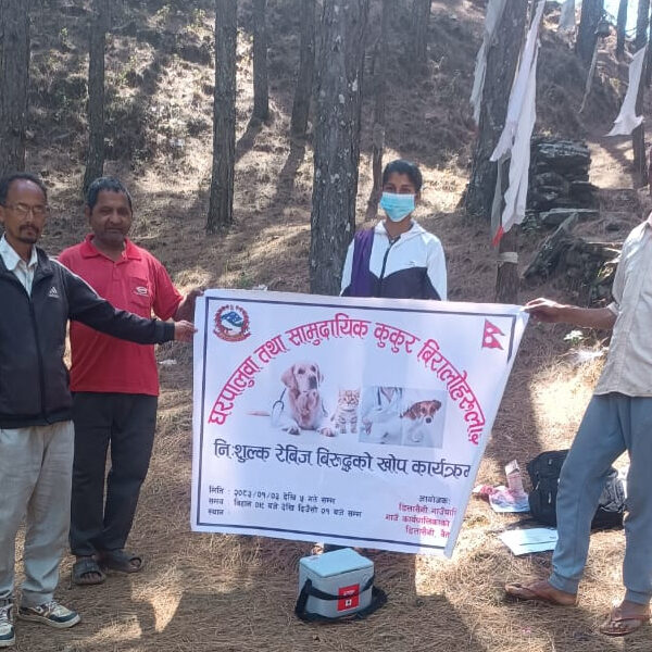 बैतडीको डिलासैनीमा रेबिज रोगबिरुद्ध खोप अभियान&hellip;