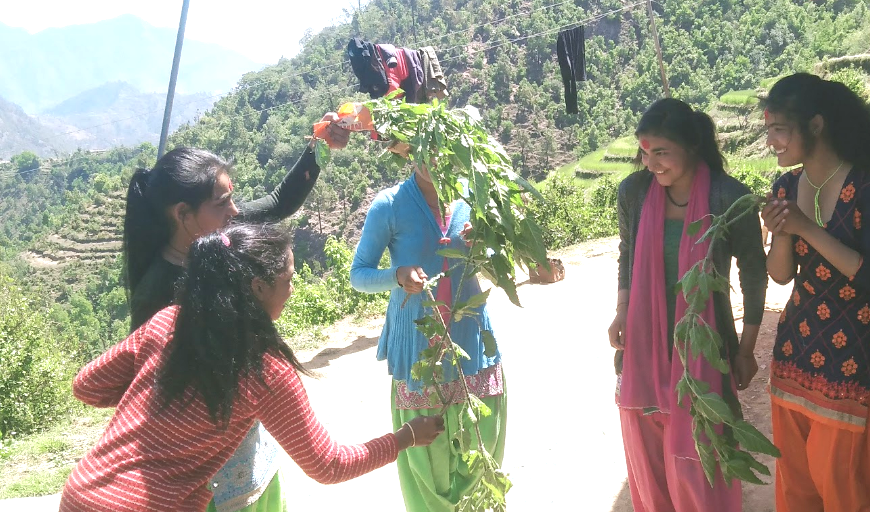 बैतडीसहित सुदूरपश्चिममा ‘बिसु’ पर्व मनाइँदै