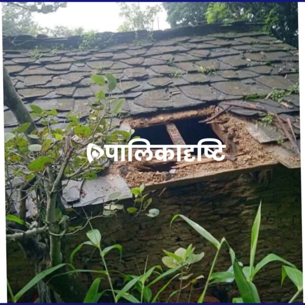 बैतडीमा चोरीको आरोपमा कार्यपालिका सदस्यसहित चार जना पक्राउ